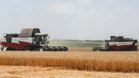 Донские аграрии готовятся к новым зерновым рекордам